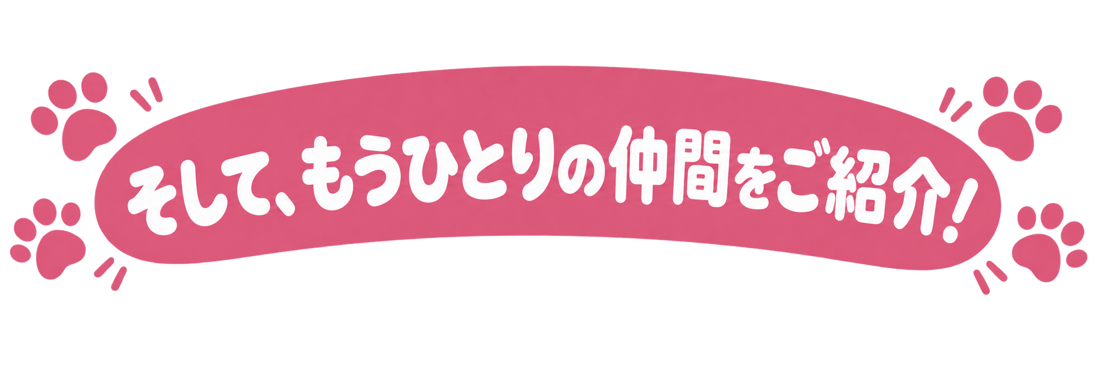 そして、もうひとりの仲間をご紹介！